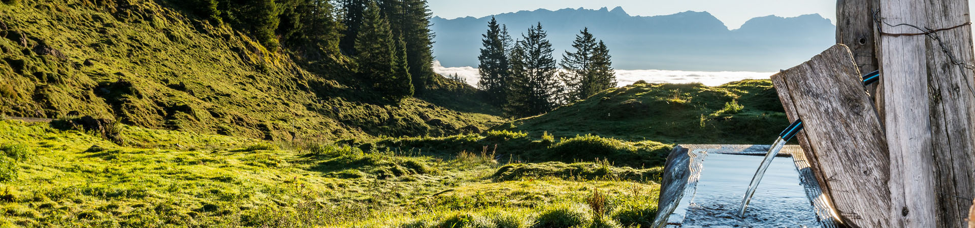 Ruhe Leogang